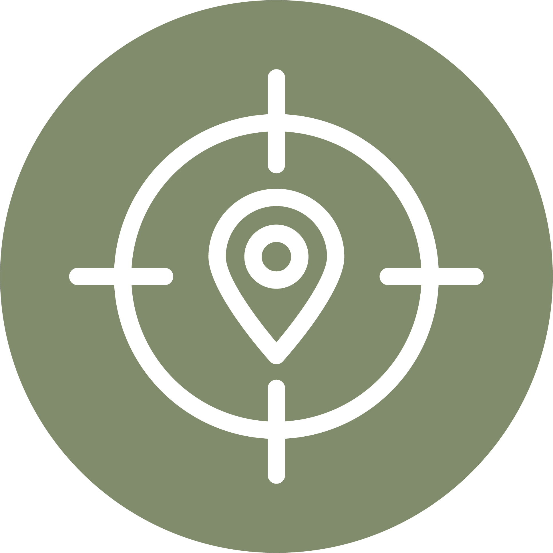 location icon