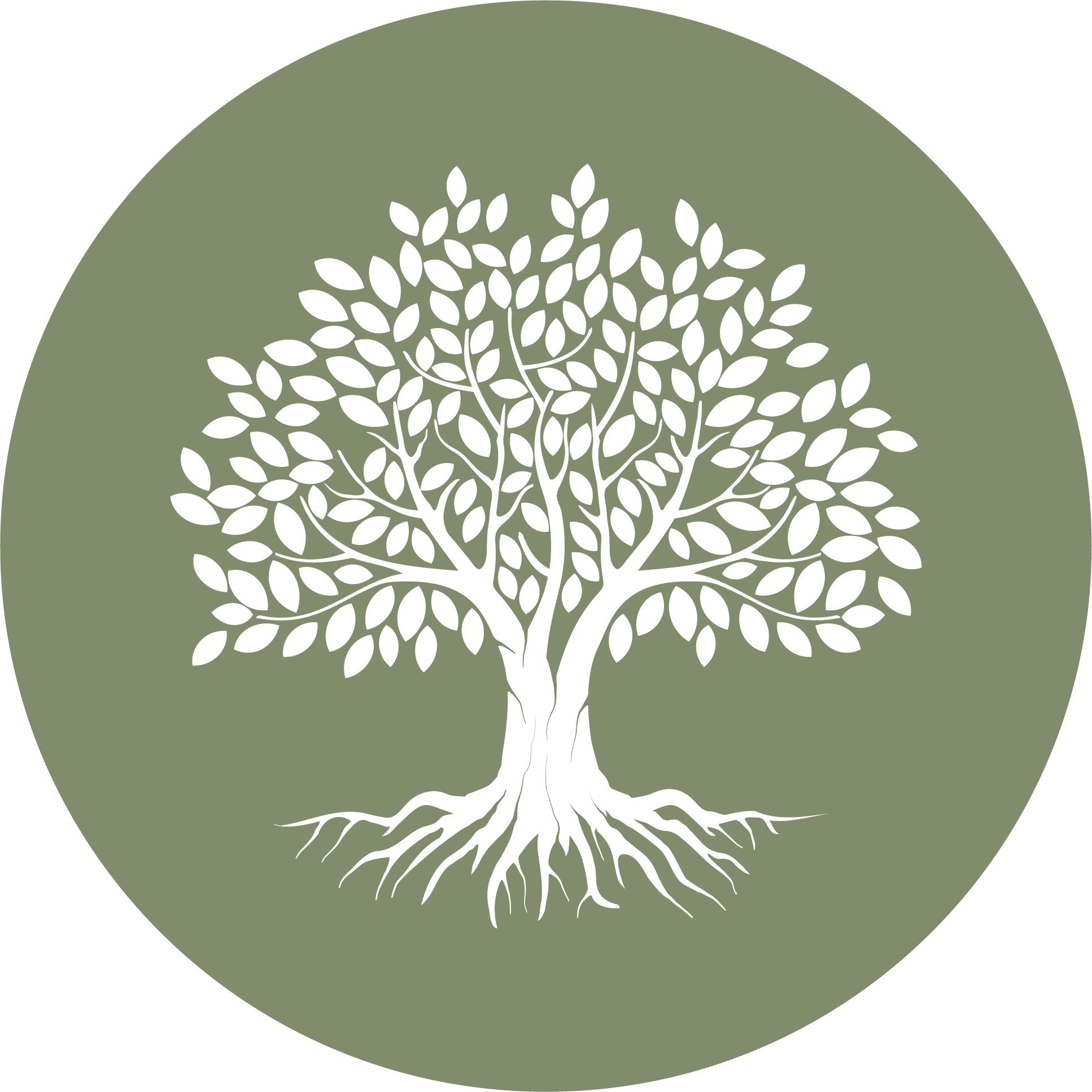 stories icon